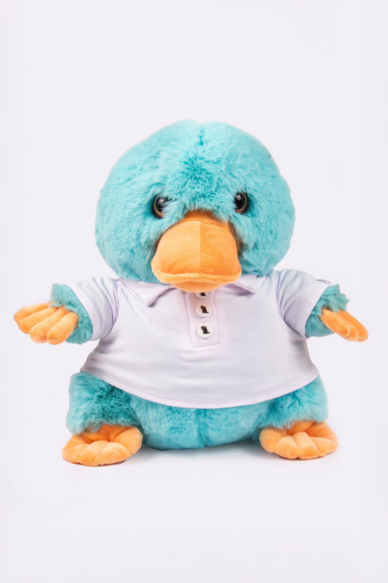 Toy