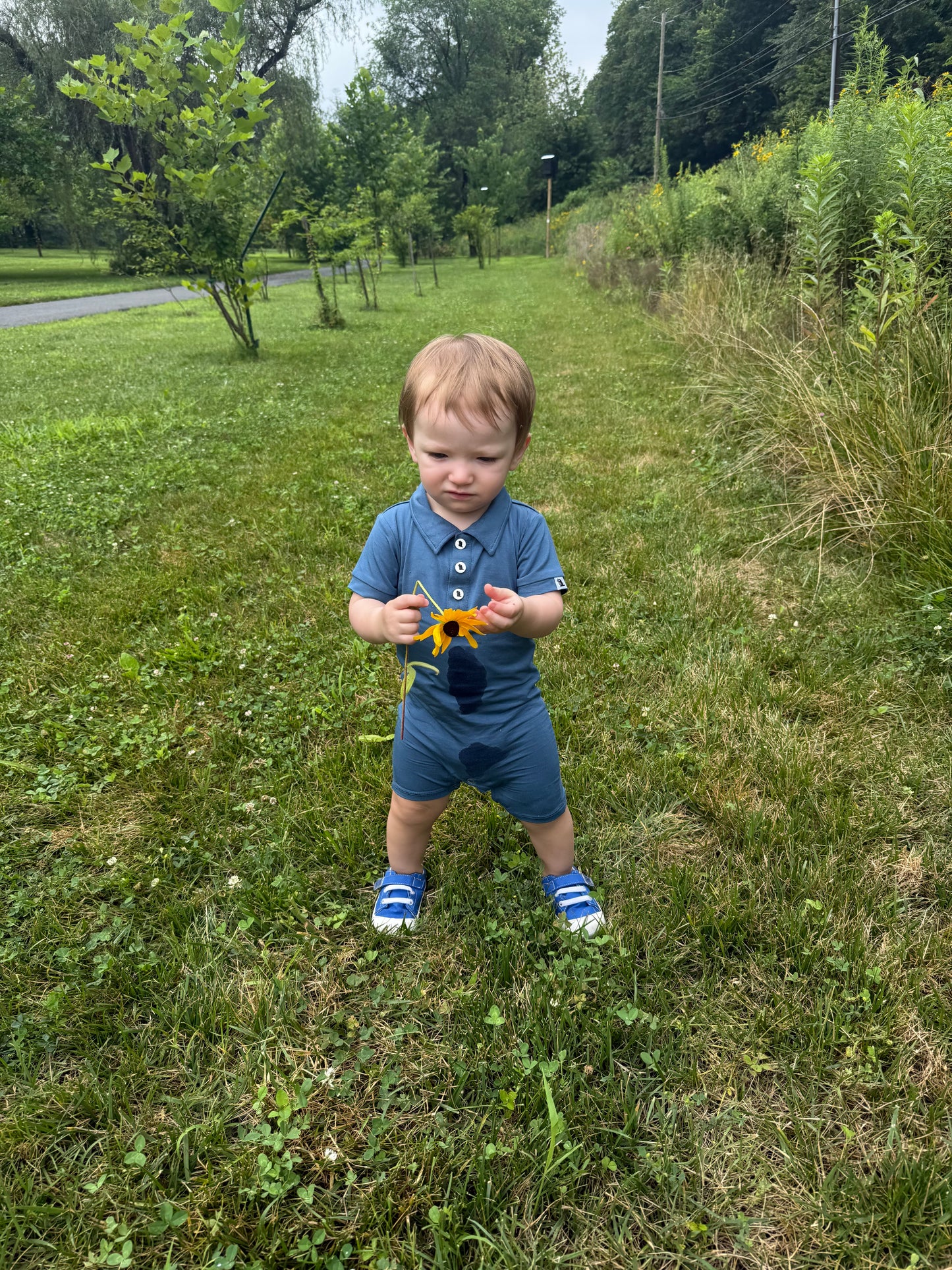 "Busy Boy Blue" Baby Shortie Polo